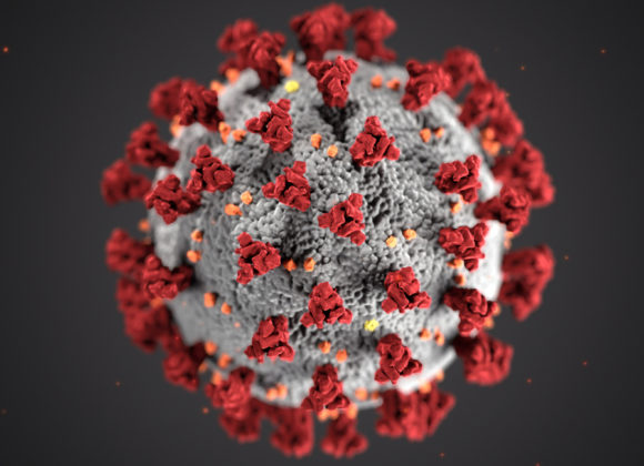 Jeden Sonntag um 21 Uhr: Sendereihe zum Coronavirus